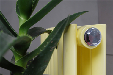 家用暖氣片圖片，金旗艦家用暖氣片圖片